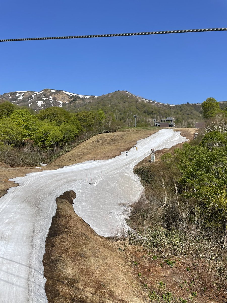 ananan22's tweet photo. おはようございます
かぐらスキー場かぐらエリア
快晴！暑いです！
すっかり雪も溶けて、滑走用の一本道だけが出来上がってます
#かぐらスキー場 https://t.co/S6m4NTxMYP