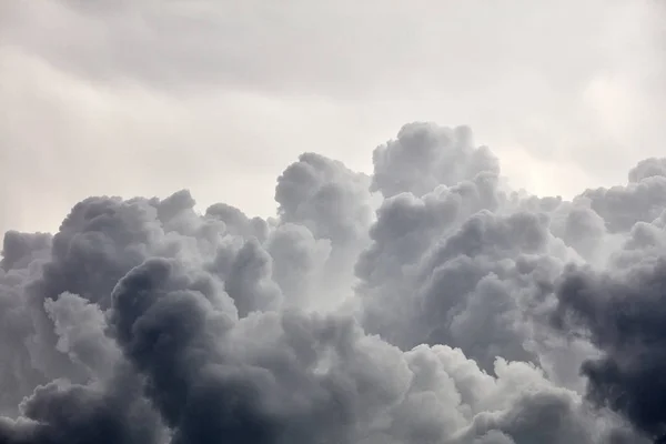 na_aven's tweet photo. ✨名前も知らないまま、
自分が何者かも分からないまま、
彼は「雨雲」だと告げられた。
その瞬間から、
運命は狂い始める。🌩️
📖https://t.co/WraG6LW9j7 ⚔️⚔️⚔️
#NAAVEN #ナーアヴェン #ファンタジー #冒険 #異世界 #ライトノベル #Narou #小説家になろう https://t.co/myG3dgZdB7
