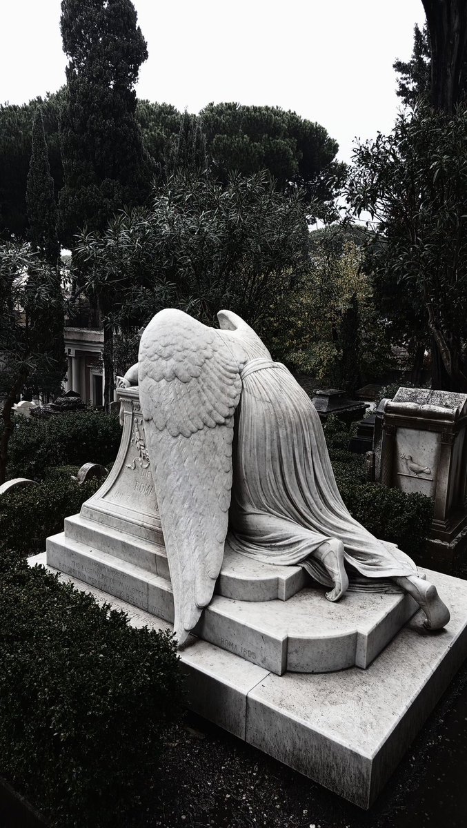 darkdreamvibe's tweet photo. https://t.co/k8VkY6OgBd