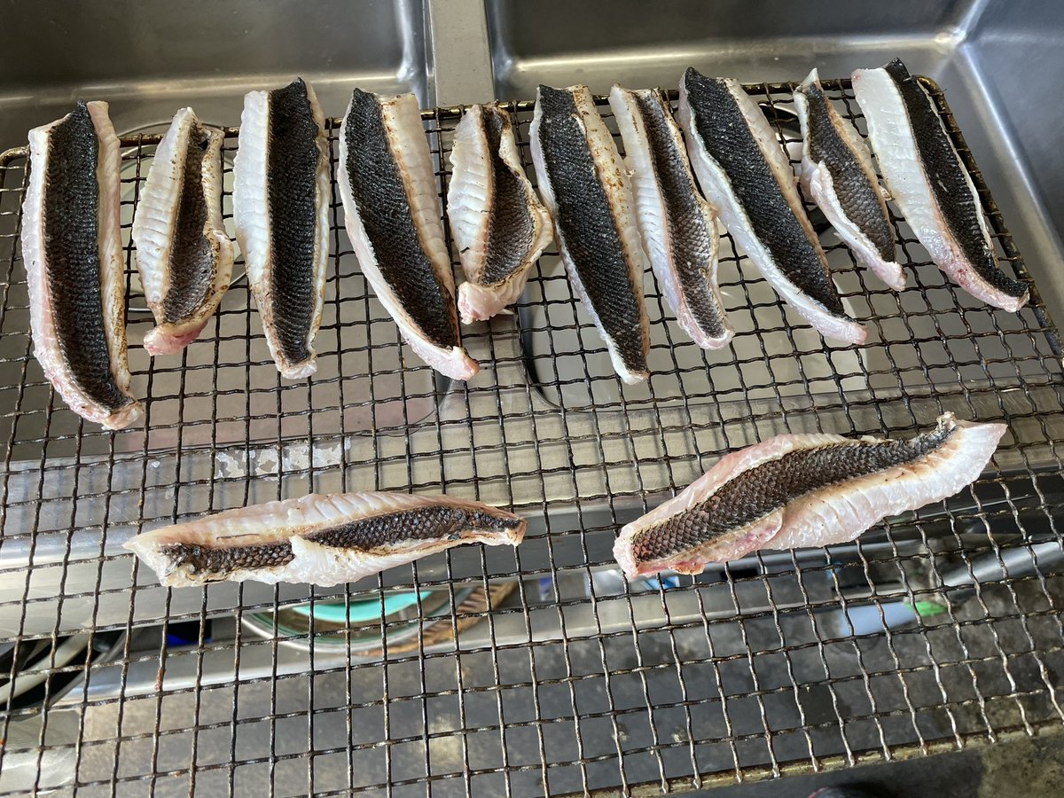 第八富士丸食堂 tweet media