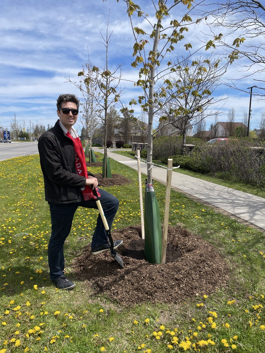alexghilson's tweet photo. Excited to see these trees being planted across Town. These are part of the Town’s grant from the FCM Growing Canada’s Community Canopies program. I often hear: what can we do to make Acton look better when people drive through? Projects like this are a real answer to that. https://t.co/Khn5pHLc7K