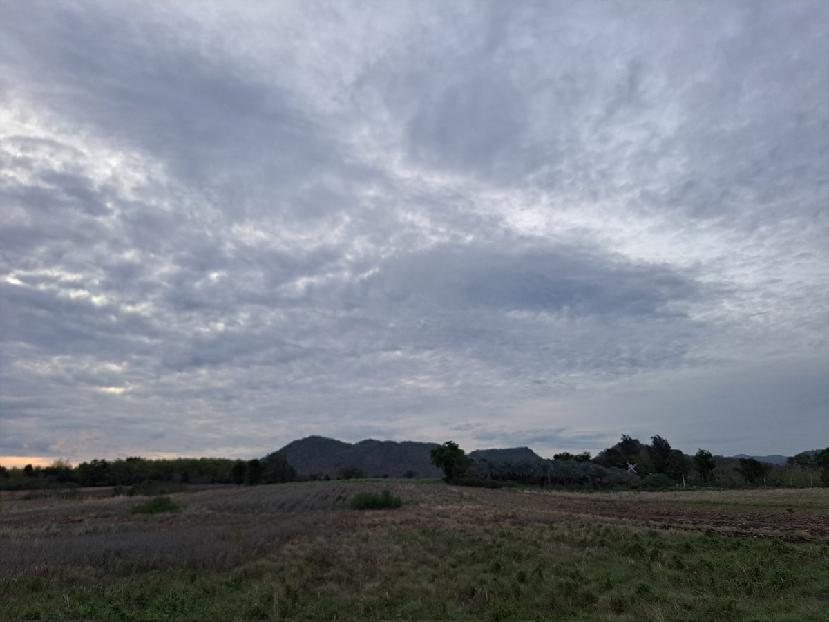 Supot Waewjapo tweet media