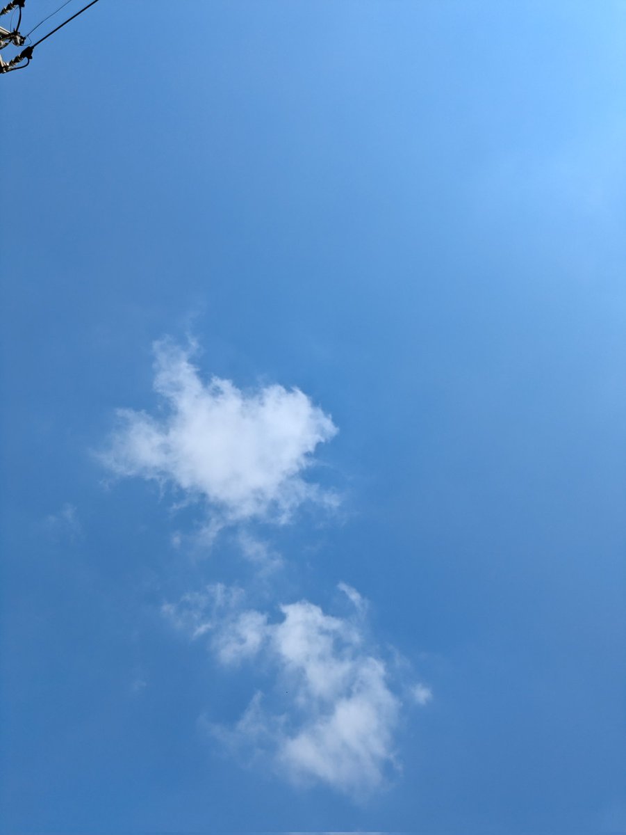 らぁめん ひろりん tweet media