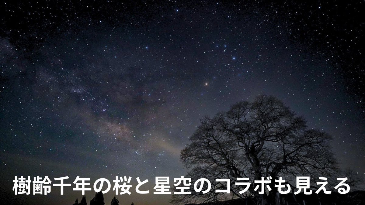 ぐら tweet media