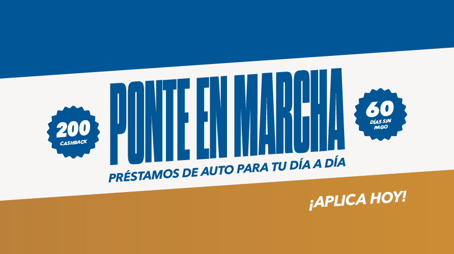 Guadalupe Credit Union tweet media