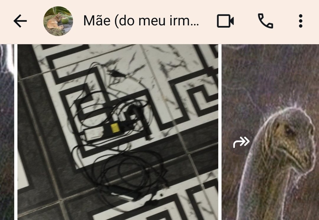 malu tweet media
