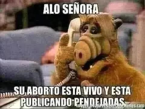 FRANCISCO NAVARRO tweet media