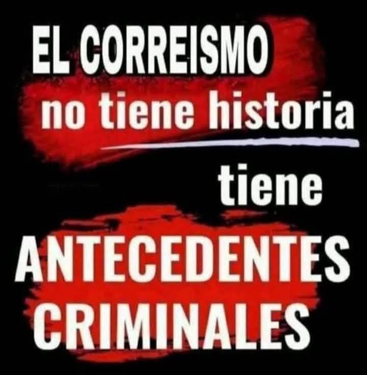 FRANCISCO NAVARRO tweet media