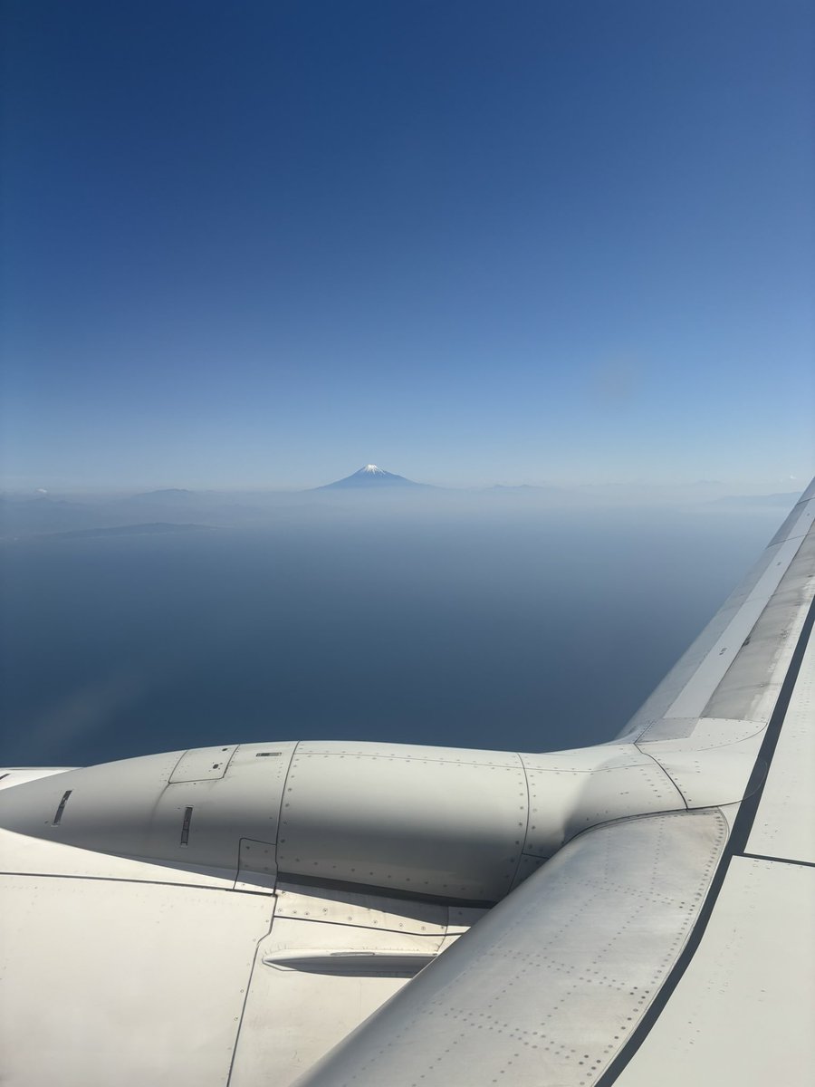 straw252525's tweet photo. ただいま日本 https://t.co/KSPg5wXSoZ