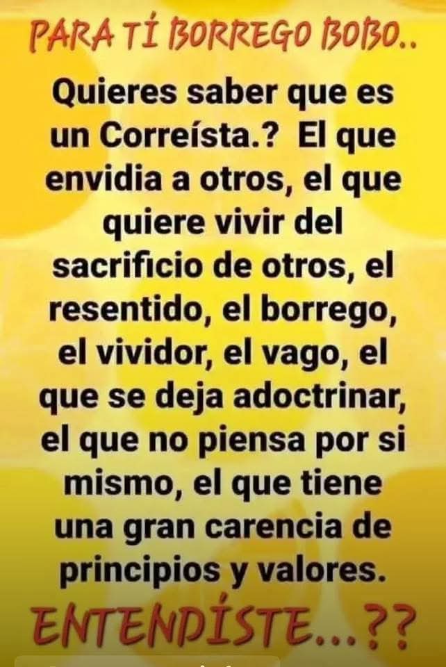 FRANCISCO NAVARRO tweet media