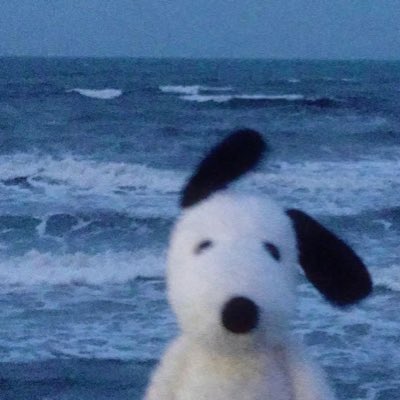 ボリビア人@メガ10気になってます tweet media