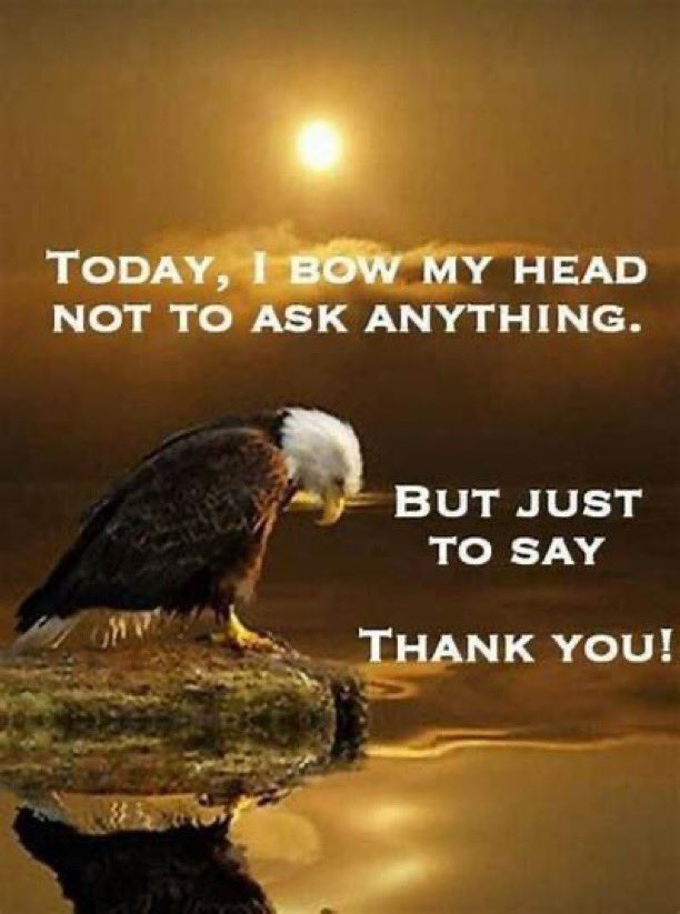 Roxanne (Roxy)♥️🙏🇺🇸🌹 tweet media