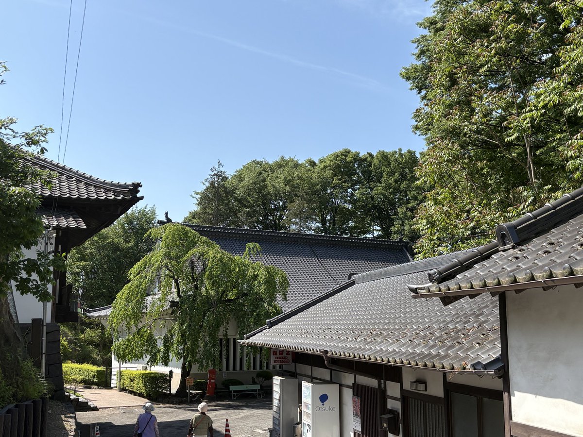 kitayusu's tweet photo. いいお天気！

#小諸城址懐古園 https://t.co/FBcpwgnGXN