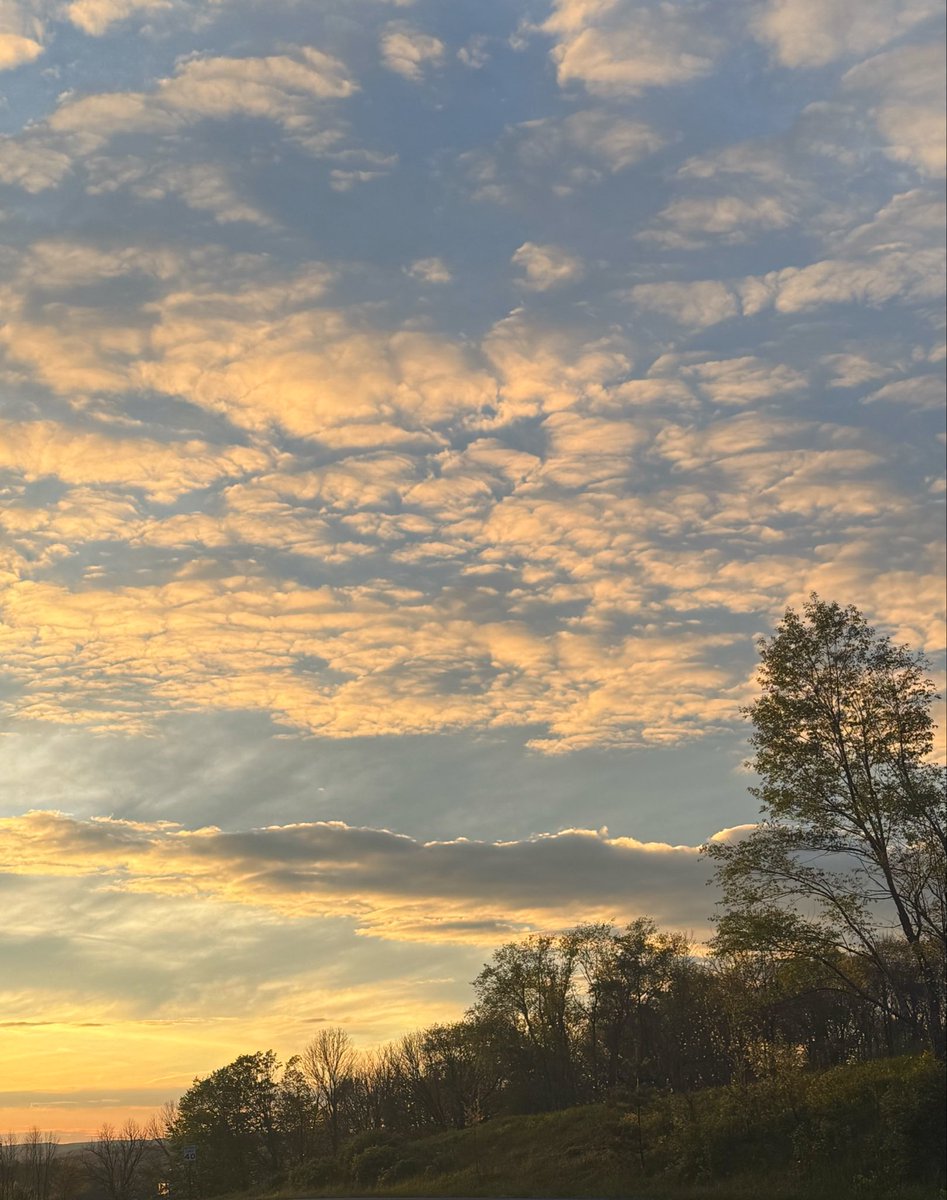 SchorAna's tweet photo. softly setting https://t.co/qjqemeoUf0