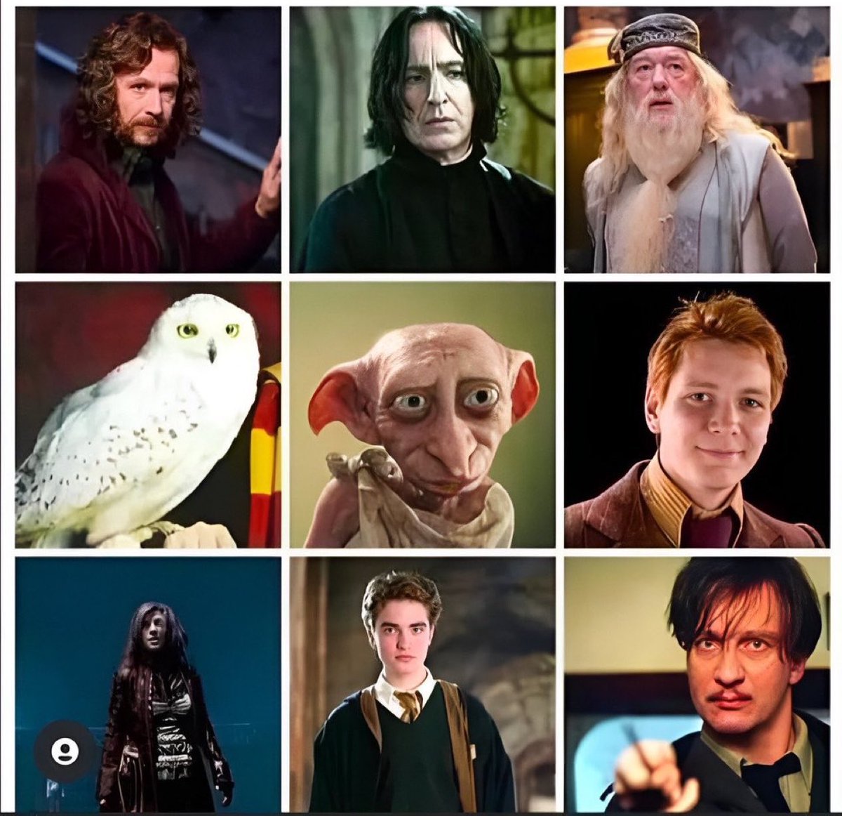 PotterWorldwide tweet media