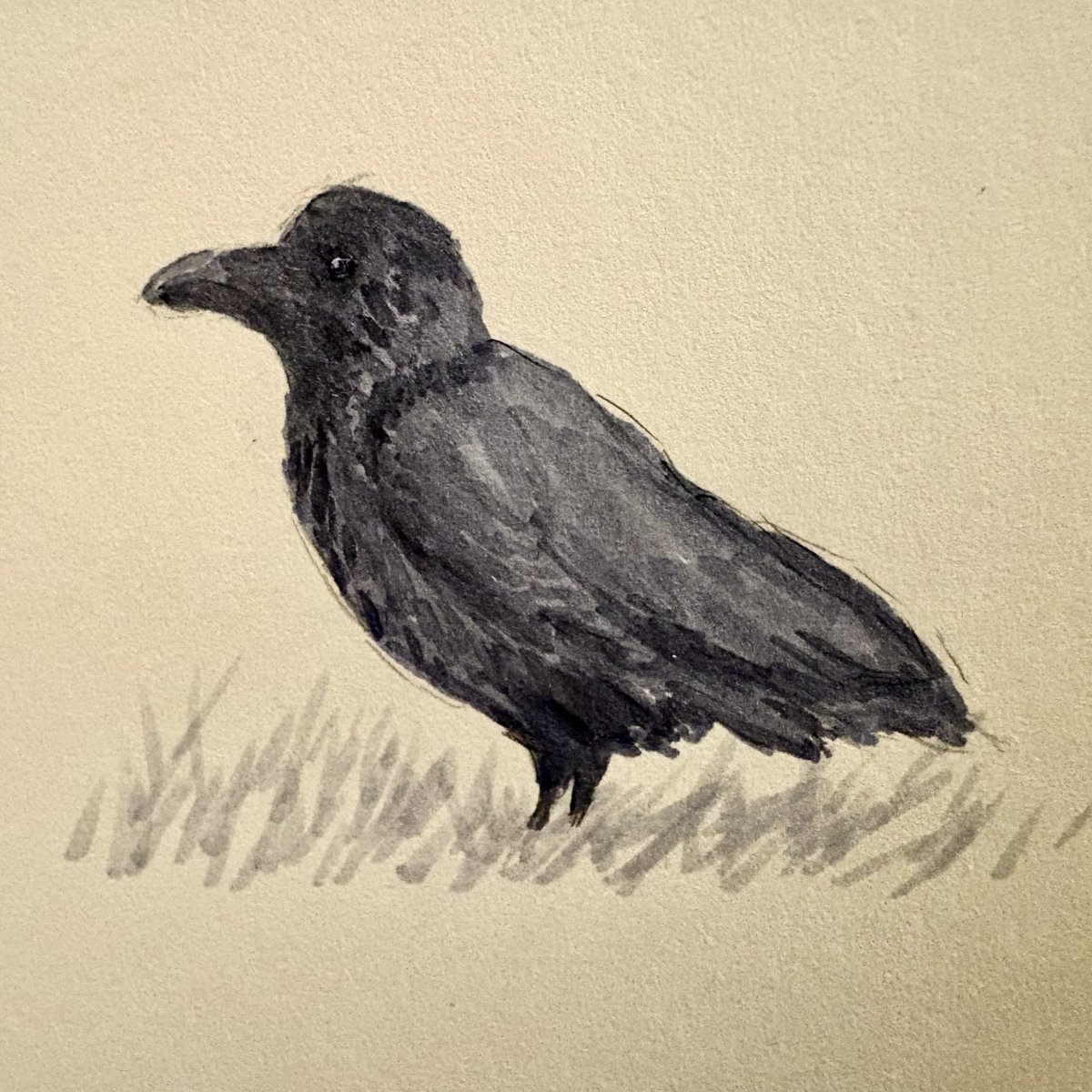 GratinRecords's tweet photo. カラスやツバメなど https://t.co/XqHxLgpWJO