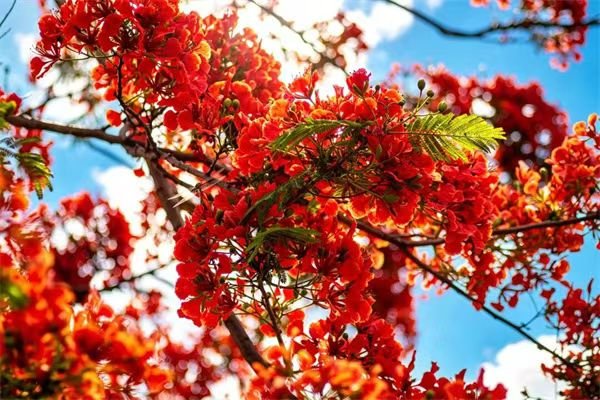 ❤Hong(互fo) tweet media