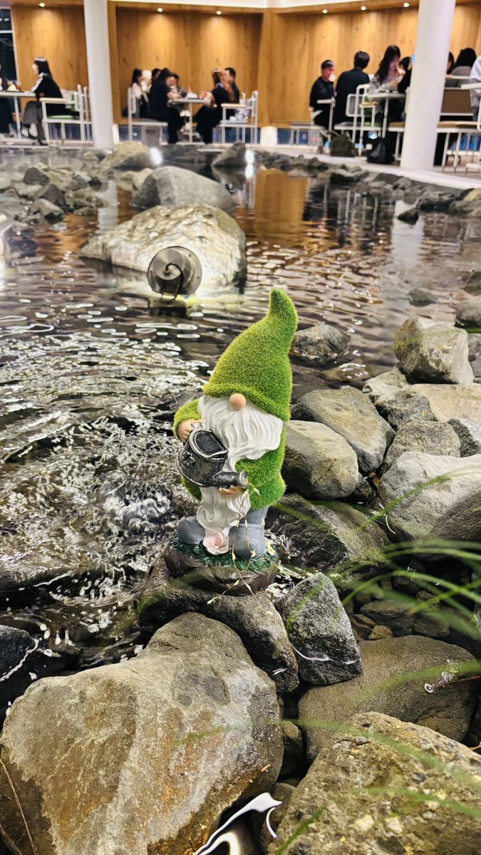 하루┊ハル tweet media