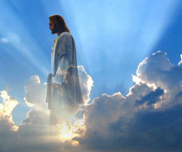 Santo do dia tweet media