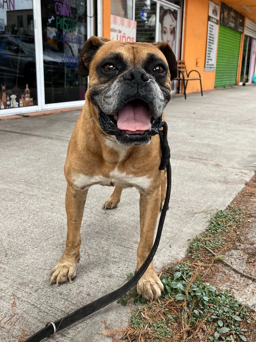 𝙷𝚎𝚕𝚊 𝙼𝚘𝚛𝚎 🐶 tweet media