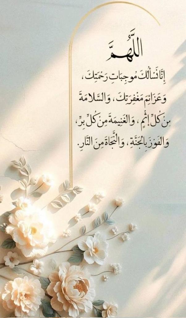ريم سعيد tweet media