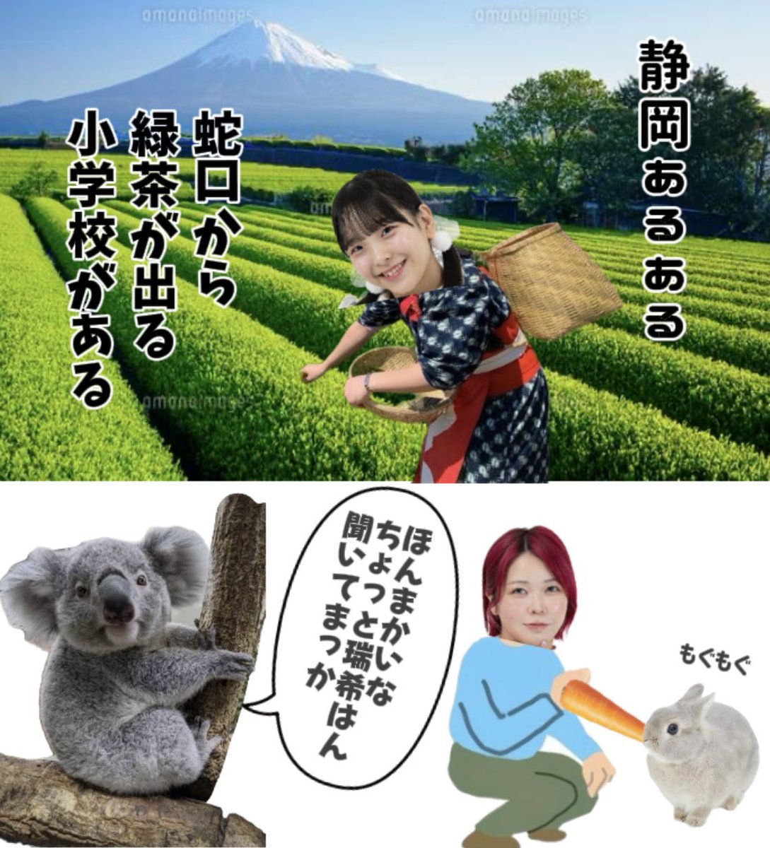 高見汐珠🍦(アプガプロレス) tweet media