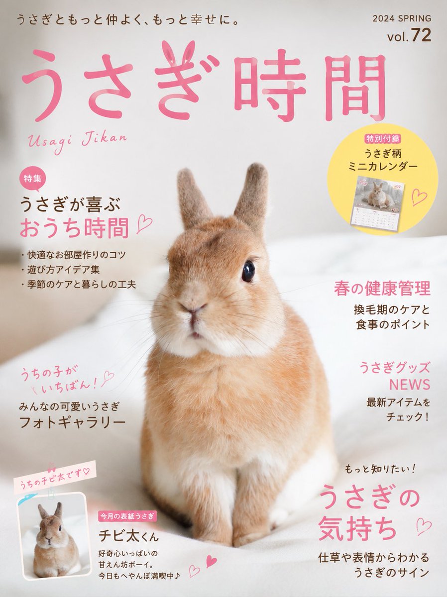 チビ太のママ様⋆͛*͛ ͙͛✧☽⋆゜オーダー品⋆͛*͛ ͙͛⋆͛ᐝ·̩͙ チビ太(CHIBITA🐰)のママ太 (@piccolocibi) / Posts / X