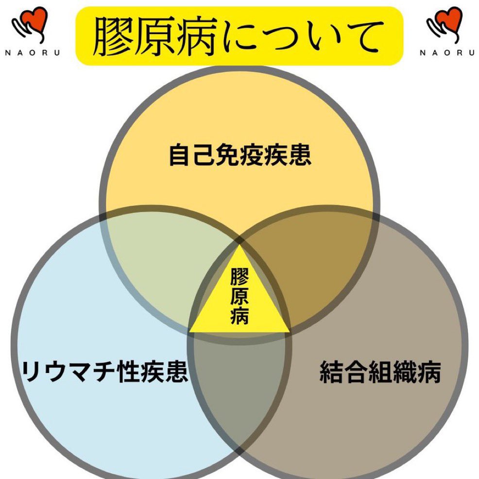 若林大樹@NAORUテクノロジーCEO tweet media