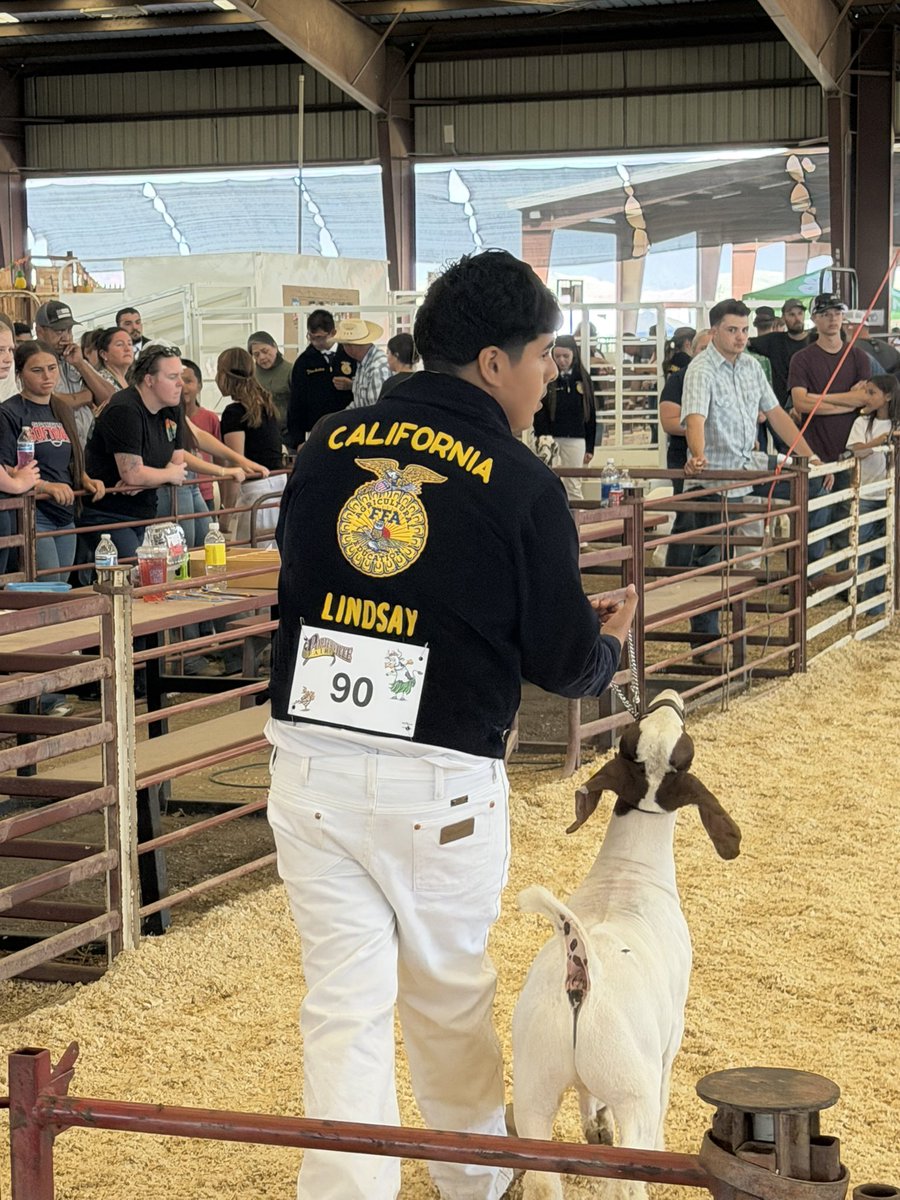 LHSCARDINALS's tweet photo. Some more LHS FFA Porterville Fair results! @LindsayUnified https://t.co/yaShFLGGeO