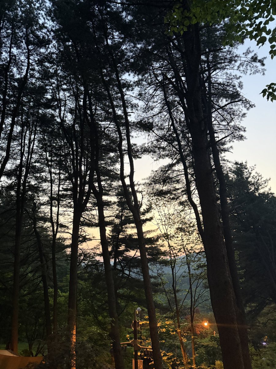 Seunghan Lee tweet media