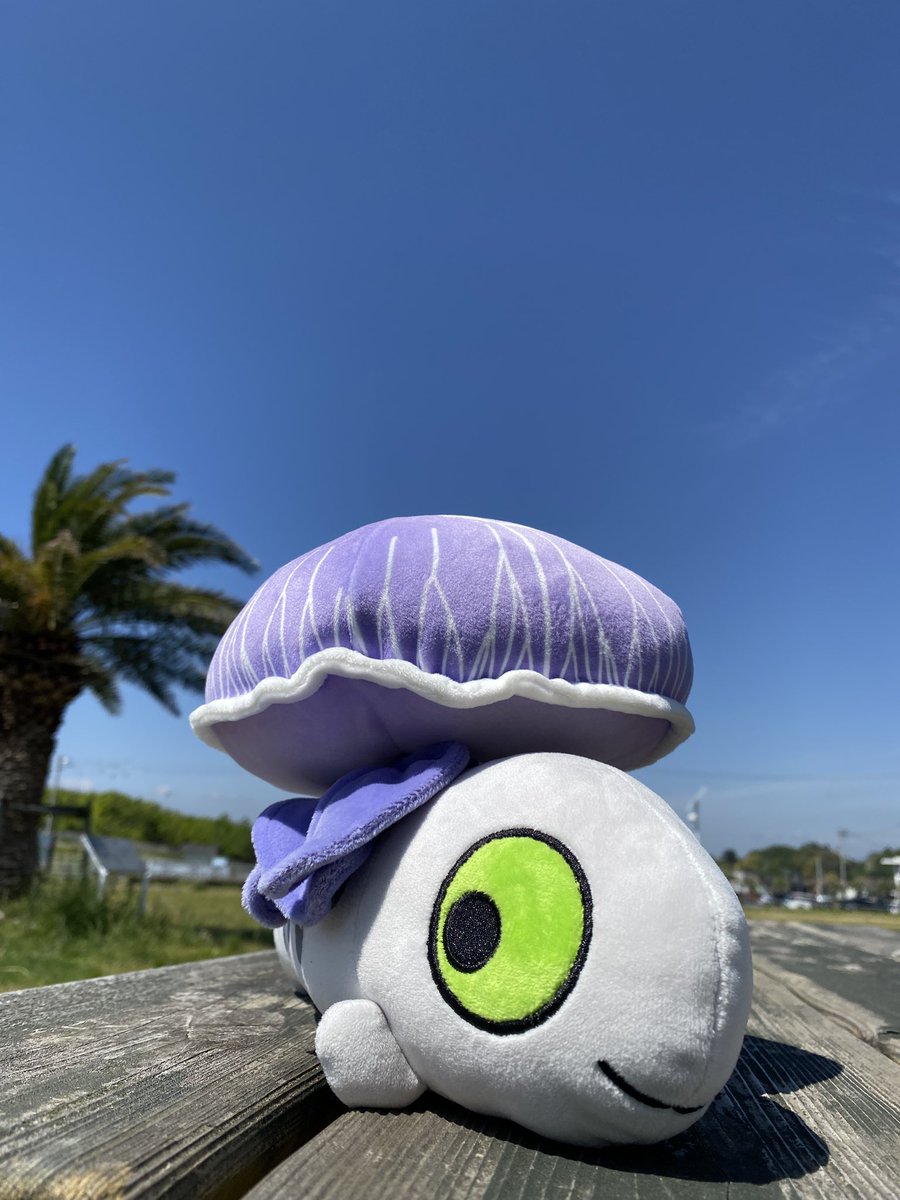 ラ・メル🐧 tweet media