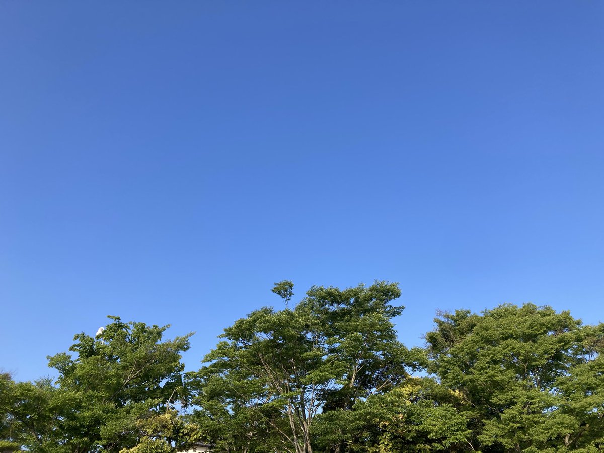 partypink9's tweet photo. 雲ひとつない青空 https://t.co/ThRvYHJ4eV