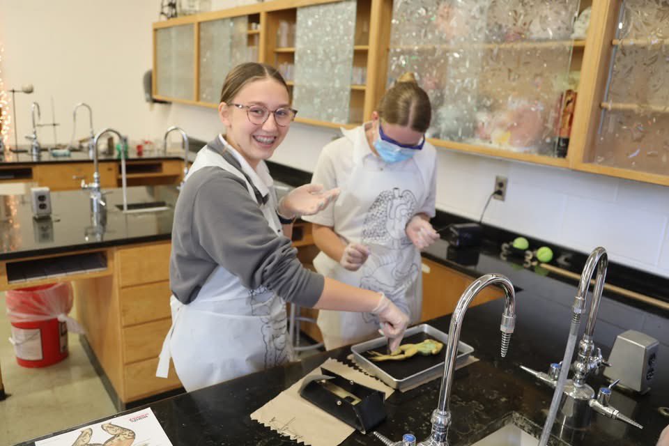 ACHS_Defenders's tweet photo. 🐸 Ribbit-ing day in science class! Students put their biology skills to the test with frog dissections today… and let’s just say, things got a little “toad-ally” interesting. 🔬😄 https://t.co/aY5VBrJZZh