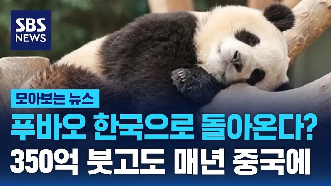 이씨네 tweet media