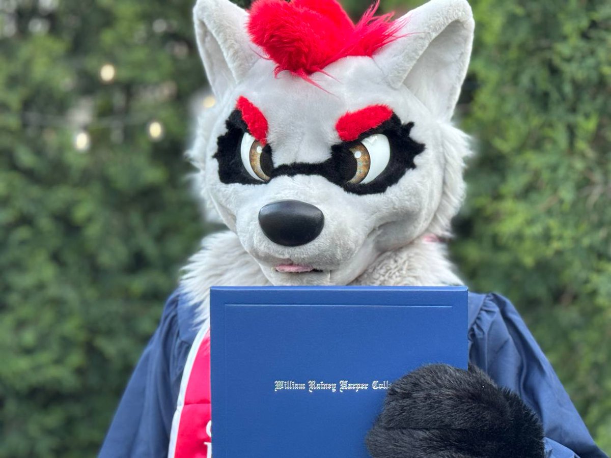 J tweet media