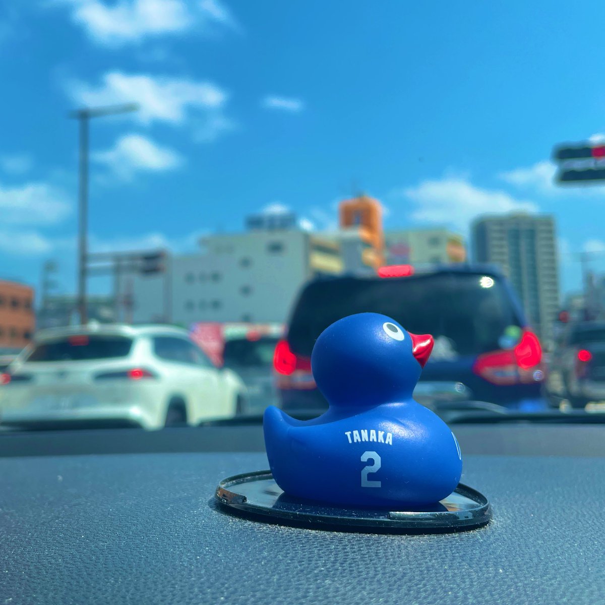 ここ tweet media