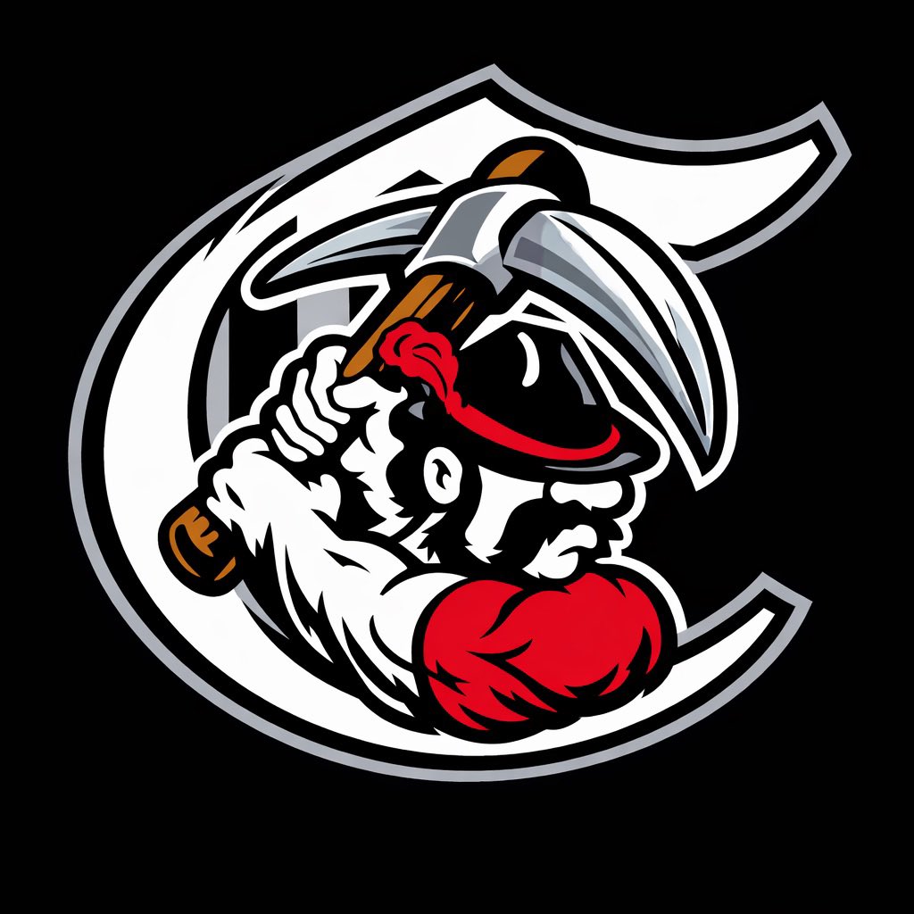 Chardon Baseball tweet media