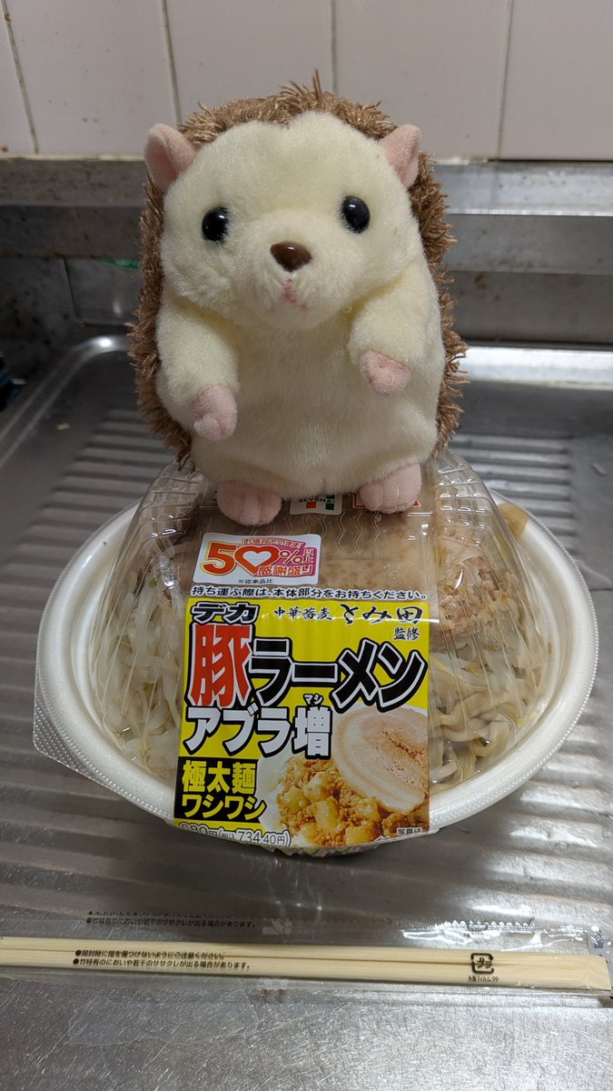 ねっこヌェキ🦔 tweet media