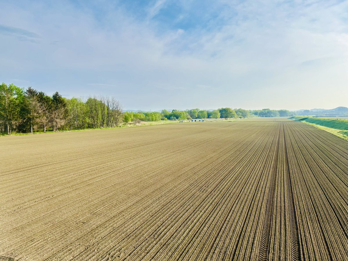 かわぺい@読書垢 tweet media