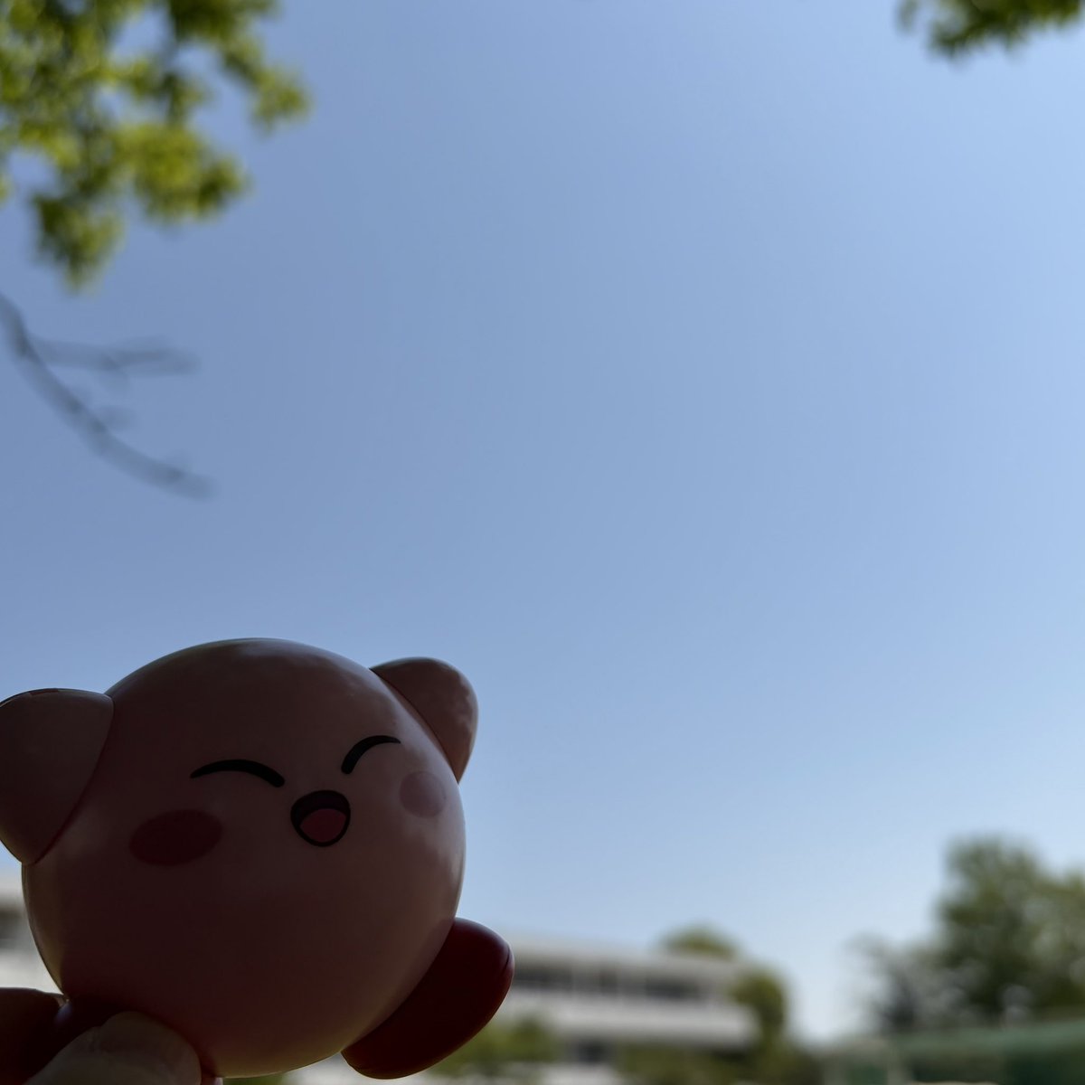みみこむ。 tweet media