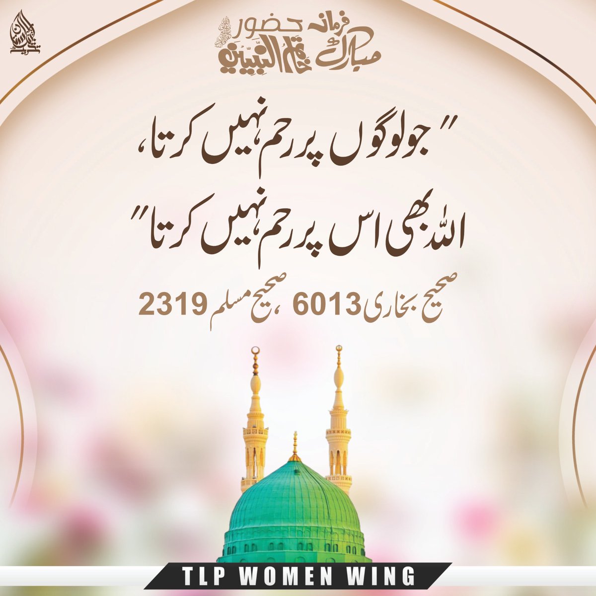 TLP WOMEN'S WING tweet media