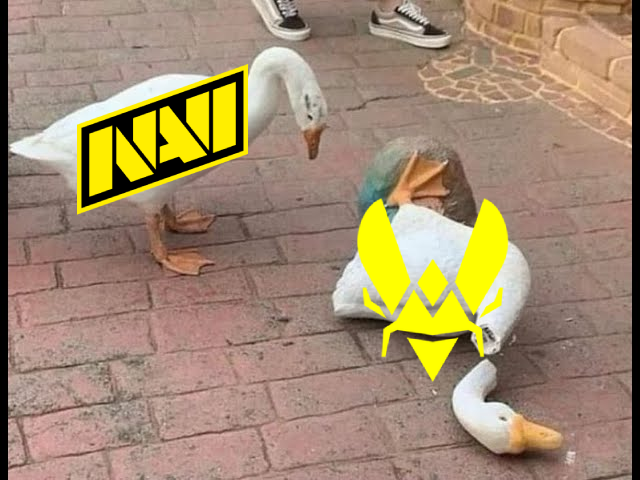 NAVI tweet media