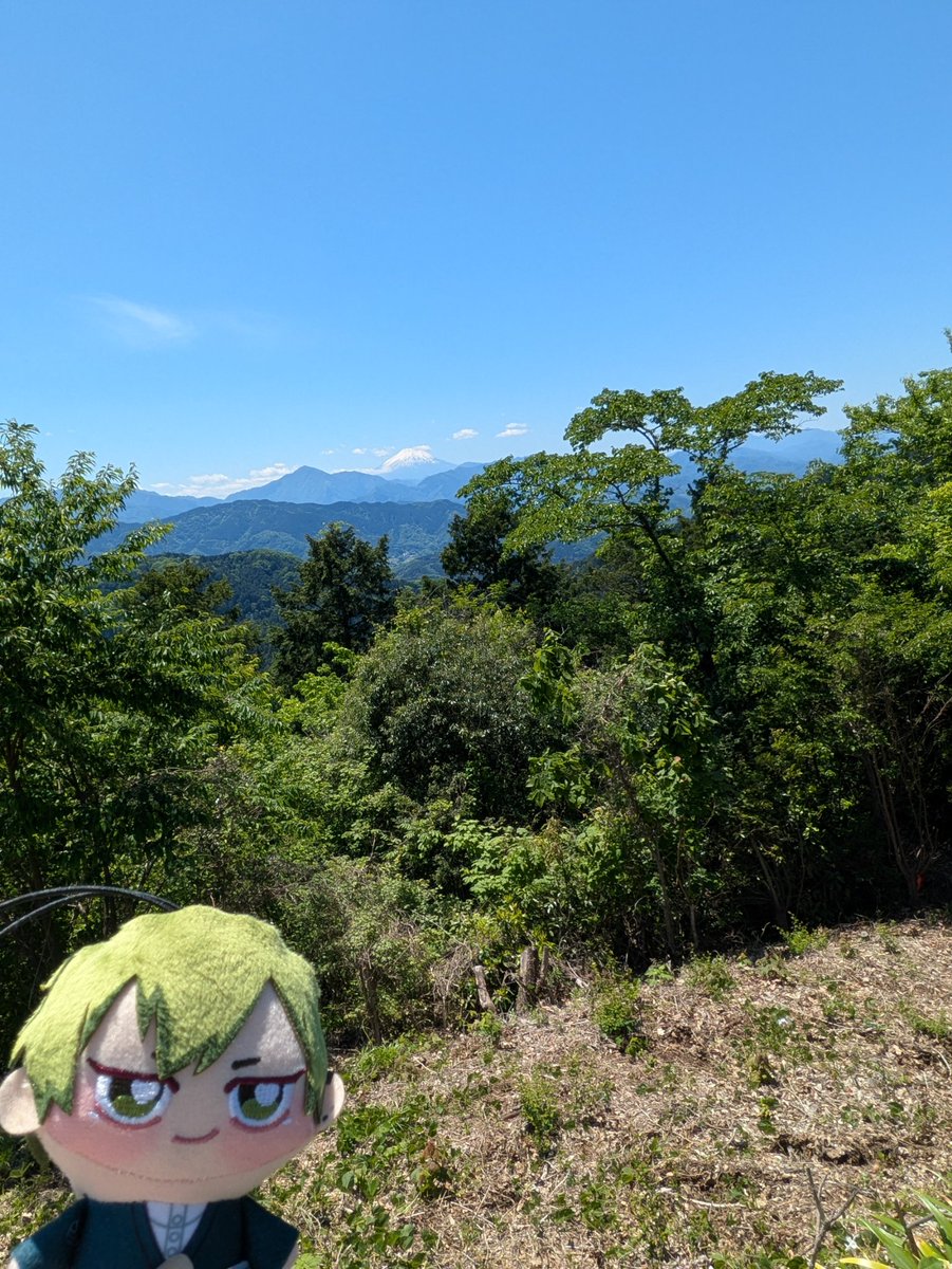 小柴りく tweet media