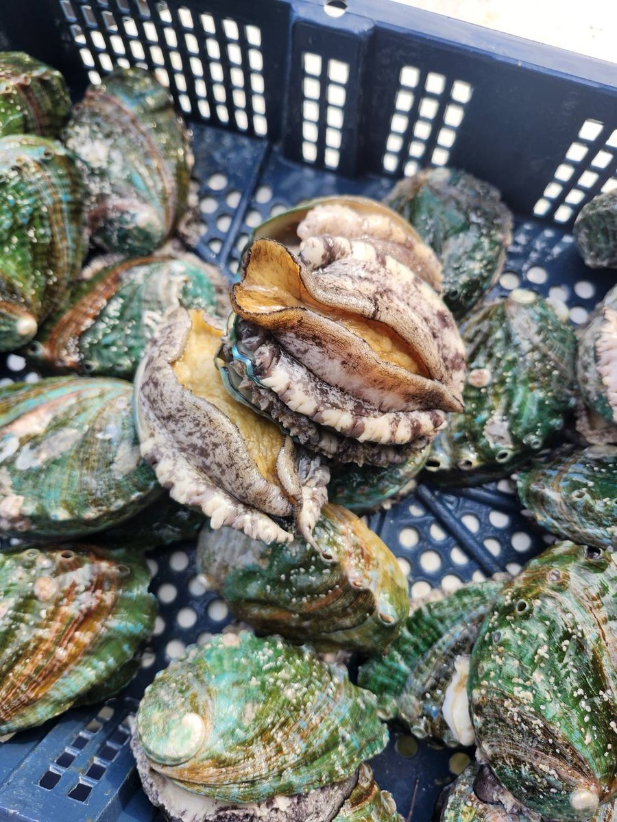 UNOsaka1's tweet photo. さぁ、バイブス上げてこや https://t.co/pNb3ipLobF