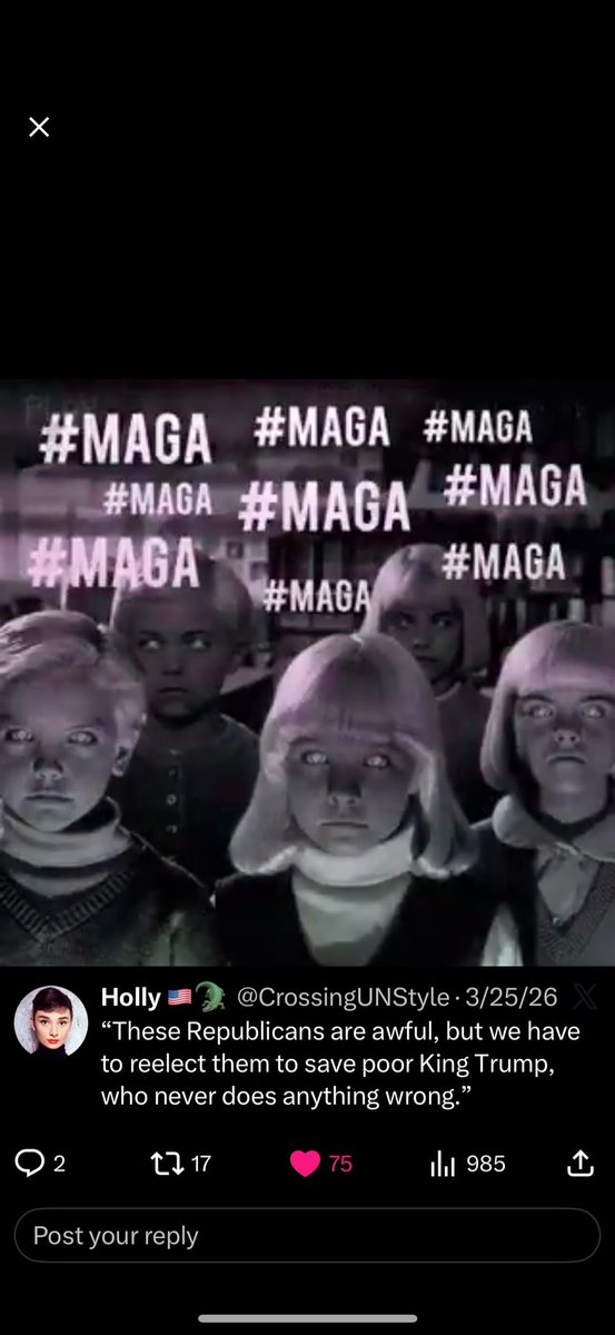 Stephen Mickulas tweet media