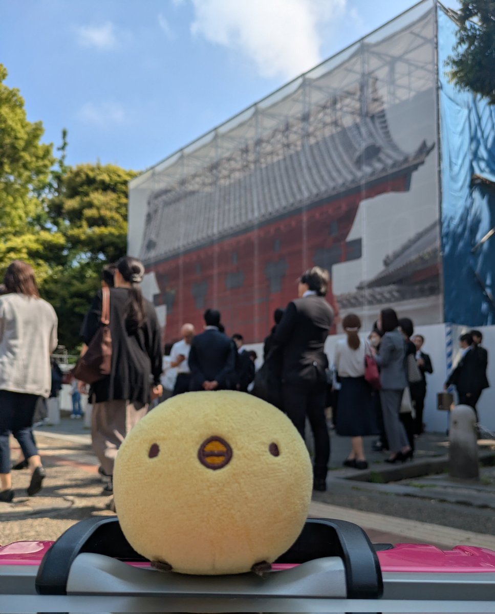 hiyokonomorikb's tweet photo. 赤門が布でわらえる https://t.co/wxCLyjDfOW