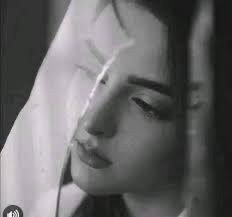 نبض القصيد tweet media