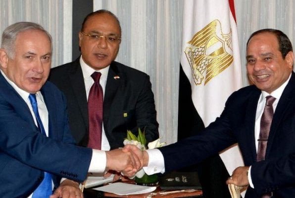 Moey 🇸🇾 tweet media