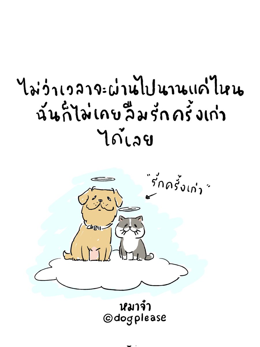 หมาจ๋า tweet media