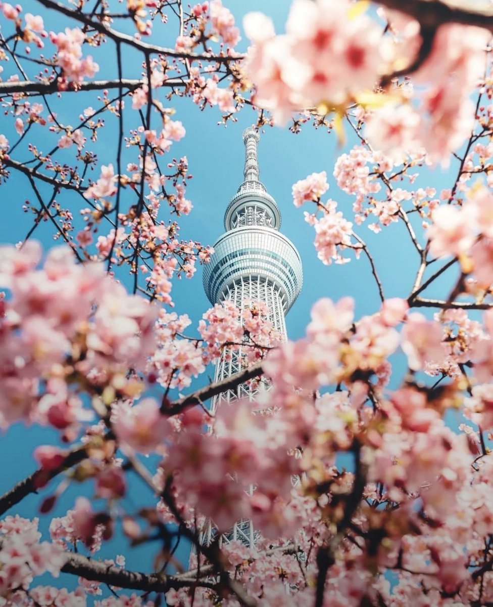 Beauty of Nature. tweet media